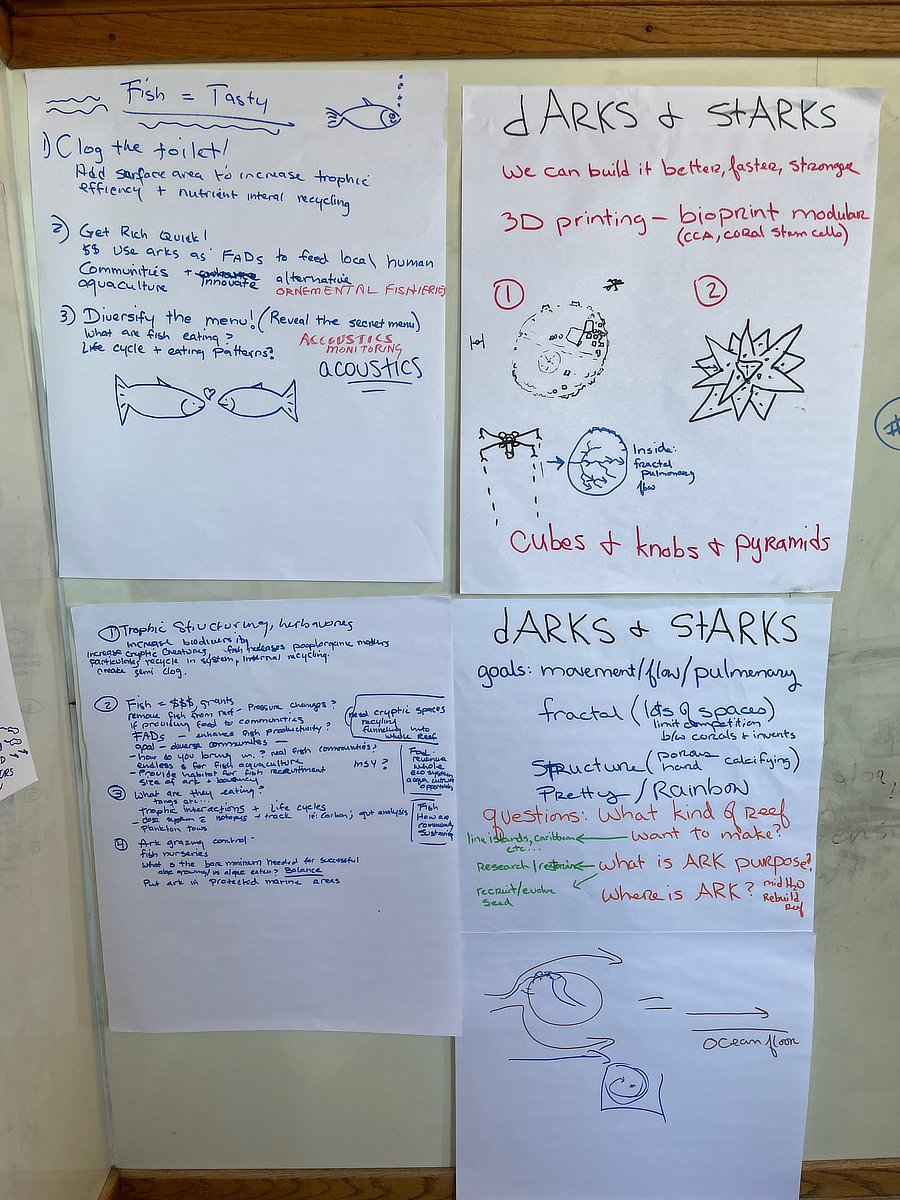 Coral Arks image gallery