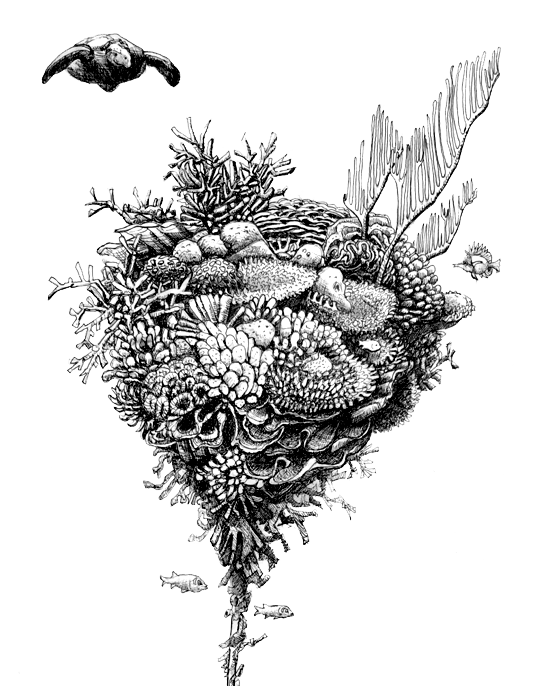 Graphic of Coral Reef Ark with sea life