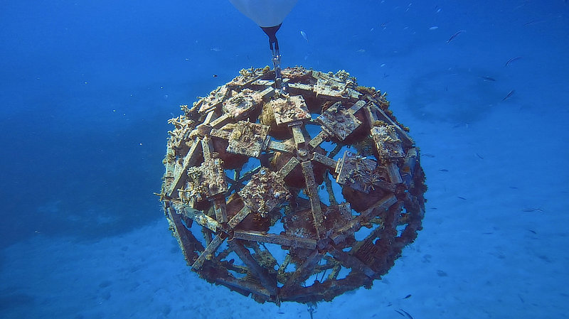 Coral Arks image gallery