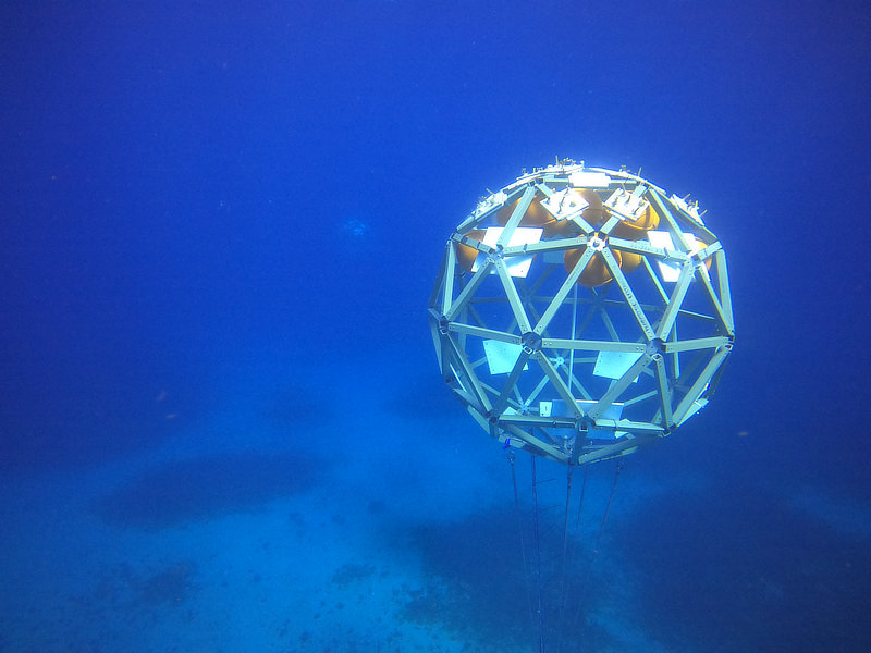 Coral Arks image gallery