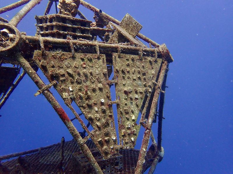 Coral Arks image gallery