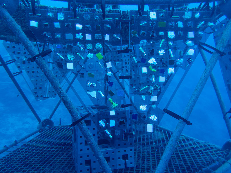 Coral Arks image gallery